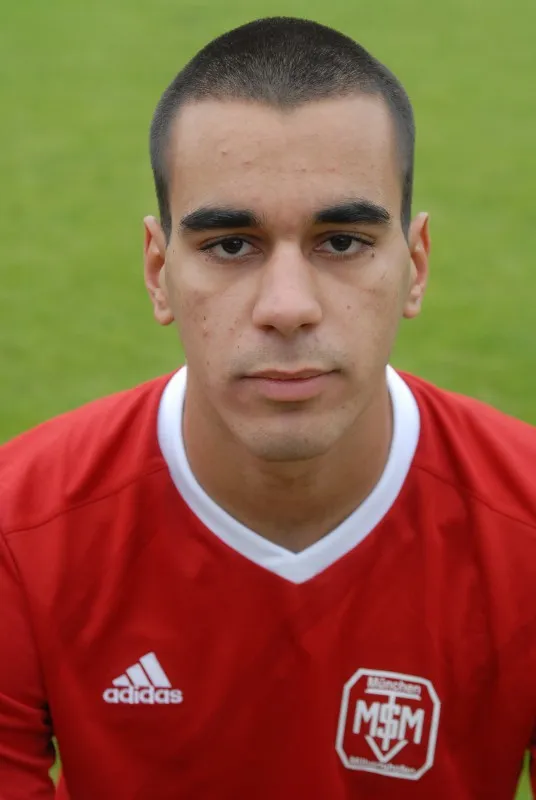 Eldar Mulic