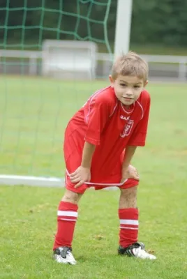 Jahrgangstaufe 2003