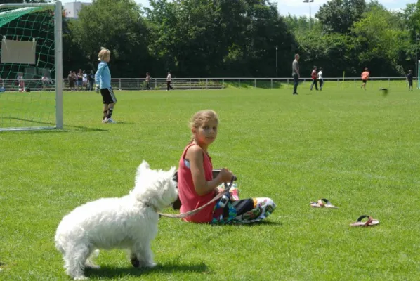 Sommer Mil-Cup 2012