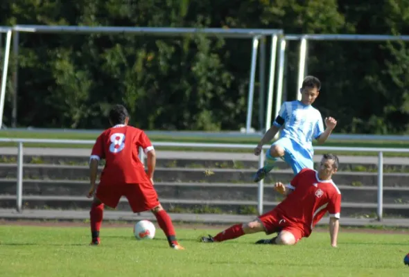 Herren vs. Alemannia