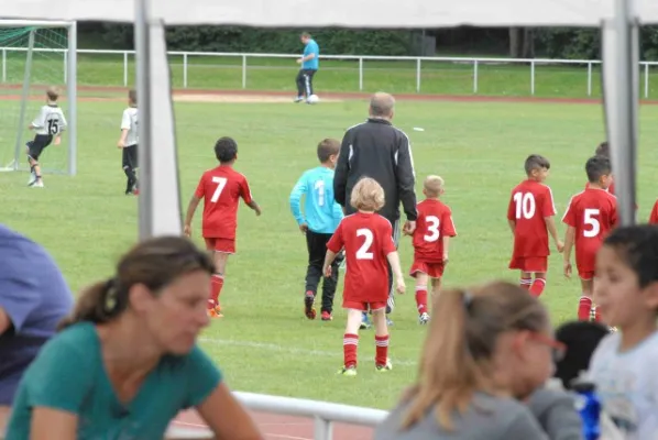Mil-Cup 2014