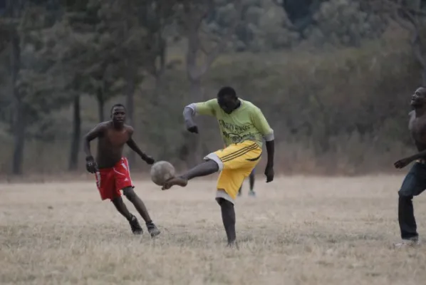 Farmteam Tanzania