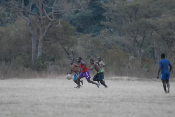 Farmteam Tanzania