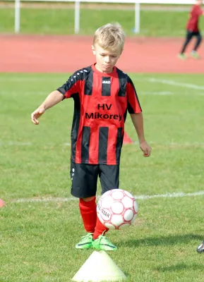 G-Junioren 2016/2017